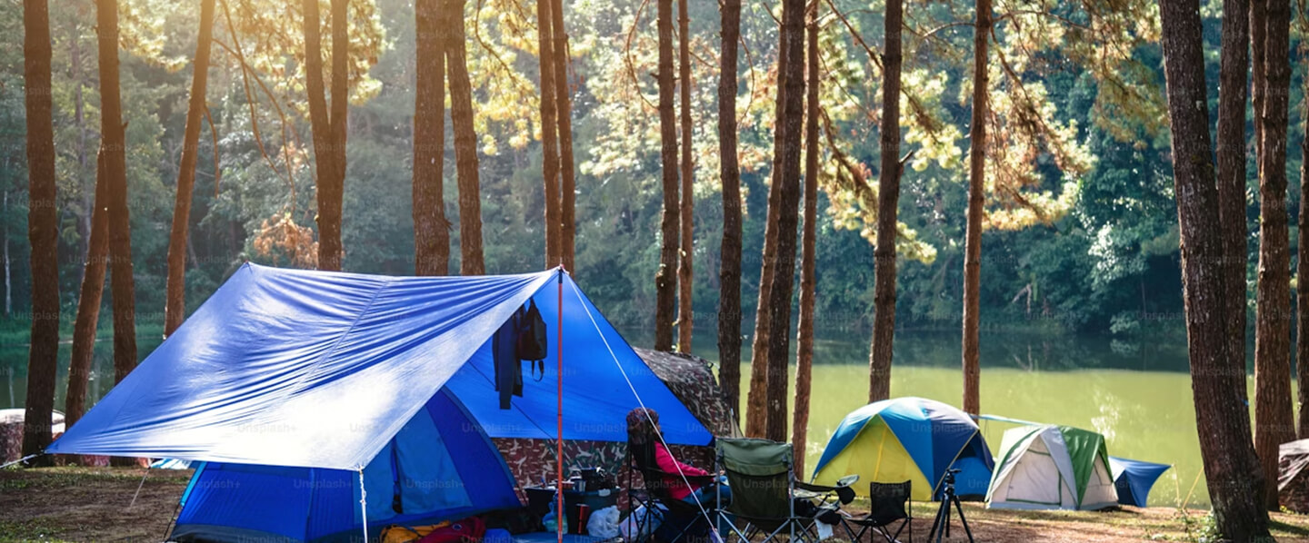 camping les tarteaux